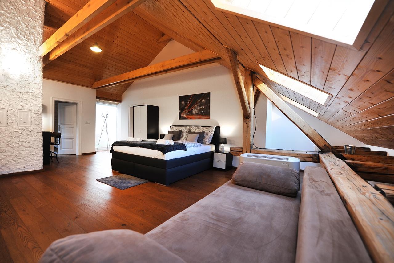 Apartmany Palackeho โกชิเซ ภายนอก รูปภาพ