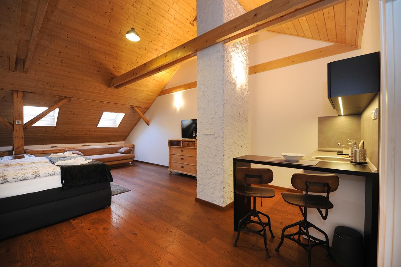 Apartmany Palackeho โกชิเซ ภายนอก รูปภาพ